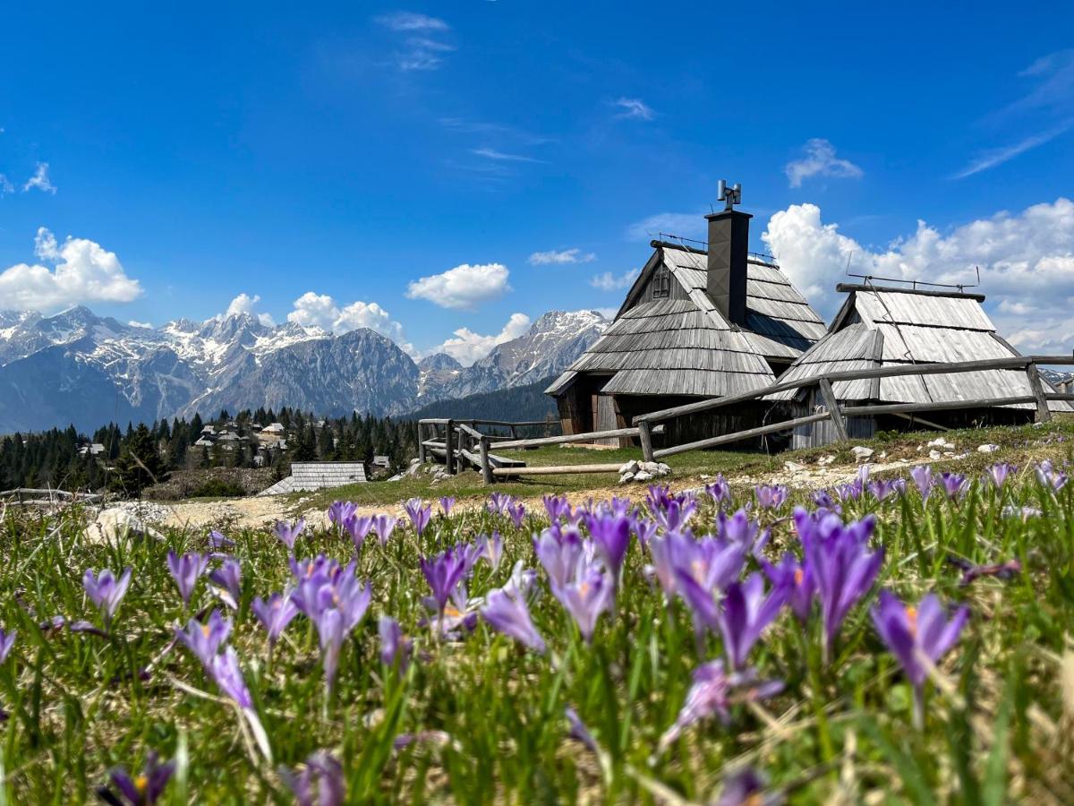 Kocna - I Feel Alps Chalet